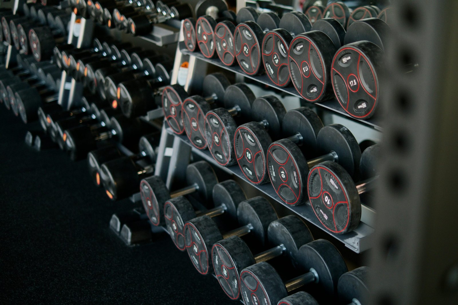 A neatly arranged set of dumbbells on a rack in a modern gym, ideal for fitness enthusiasts.
